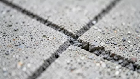fuga do płyt betonowych
