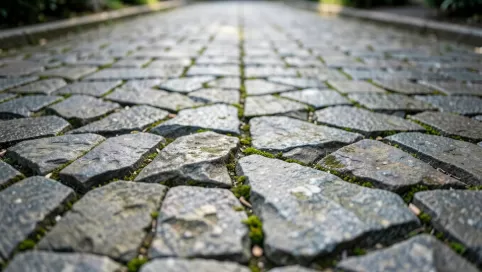 kamień kliniec na podjazd