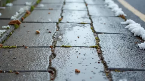 chodnik z płyt betonowych