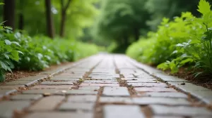 czym wyłożyć podjazd