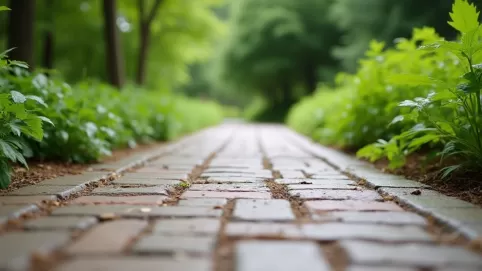 czym wyłożyć podjazd