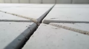 fuga do płyt betonowych