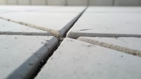 fuga do płyt betonowych