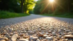 Ile kosztuje tona kamienia na podjazd Gorzów Wielkopolski