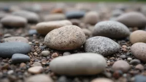 Ile kosztuje tona kamienia na podjazd Toruń