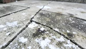 impregnacja płyt betonowych